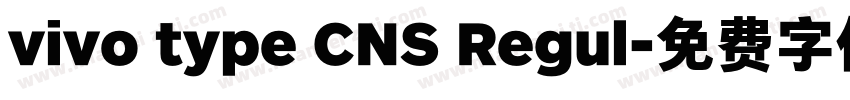 vivo type CNS Regul字体转换